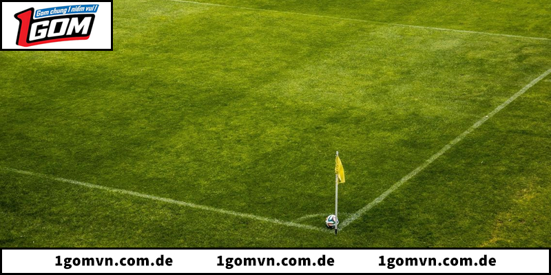 Tổng quan về nền tảng bóng đá net