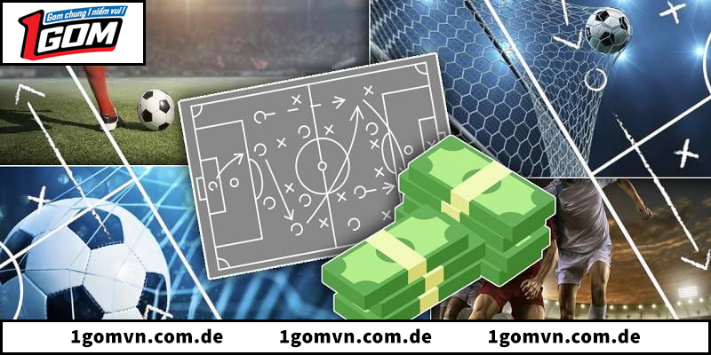 Khám phá toàn bộ nền tảng 1gom